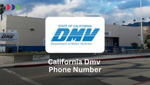 California dmv phone number